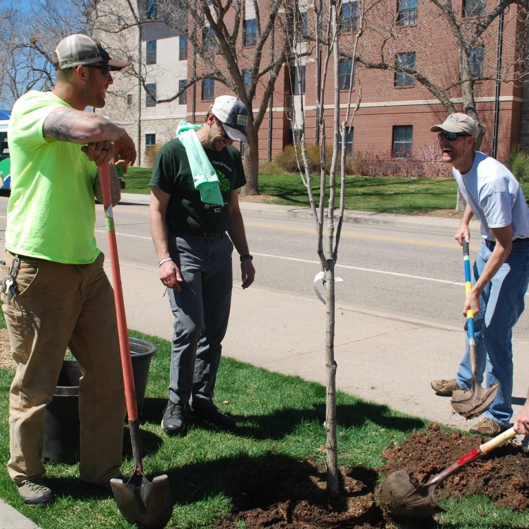 Three volunteers looking at their work after planting a young tree.