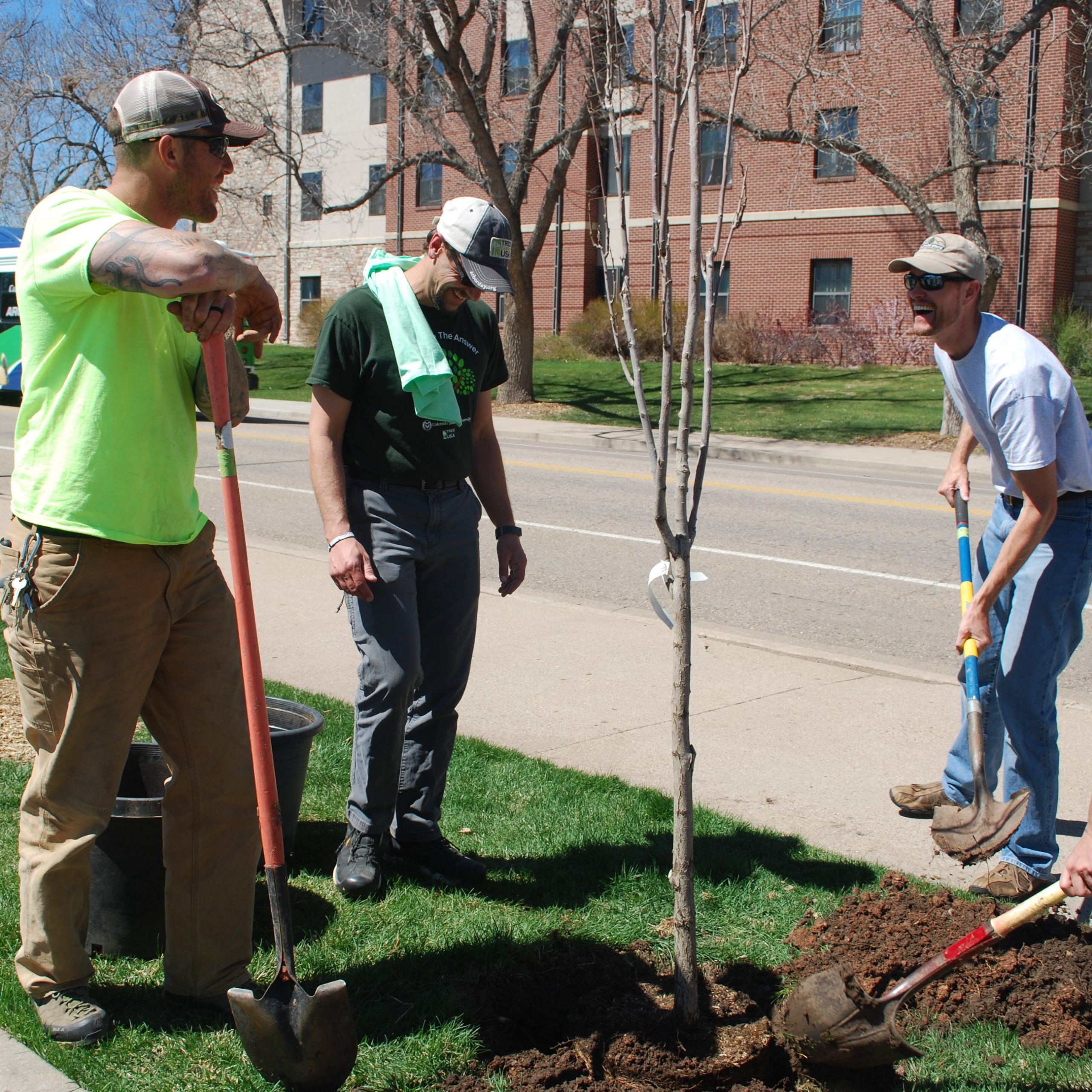 Three volunteers looking at their work after planting a young tree.