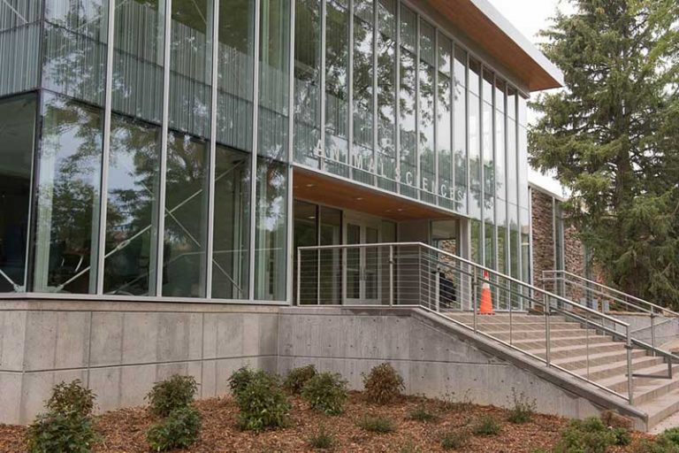 The Animal Sciences Building at Colorado State University, featuring a modern glass exterior, concrete base, and landscaped entrance with stairs and railings.