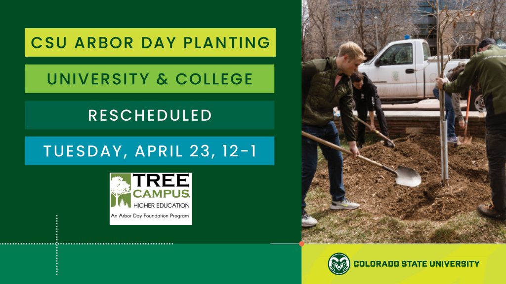 CSU Arbor Day at University & College on Tuesday, April 23, 12-1. Tree Campus logo and photo of students and employees planting trees at CSU.
