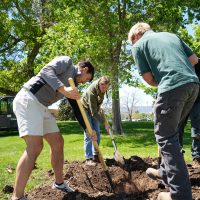 Volunteers digging hole for tree during Arbor Day celebration