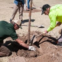 2022 Arbor Day Planting