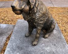 Bronze dog sitting with ball