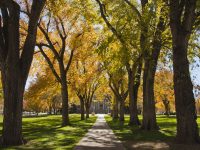 The Colorado State University Oval and Administration Building in the fall