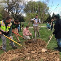 2017 Arbor Day Planting