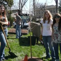 Past Arbor Day Planting